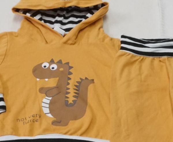 Langarmshirt mit Sweathose Gr. 62 (551)